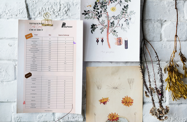 Thanksgiving Carb Count Cheat Sheet