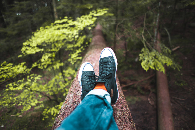 View of a crossed legs, on a tree trunk